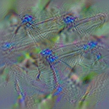 n02268443 dragonfly, darning needle, devil